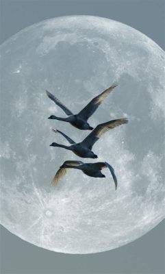 “Geese Beneath Autumn Moon” - Een melancholieke ode aan de natuur en een meditatie op vergankelijkheid!